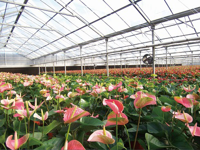 ���ܴ��ﱣ�ر�